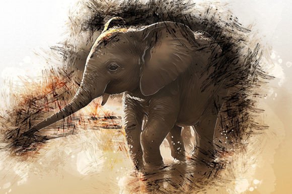 Download Printable Animal Graphics #23 - Premium Resources