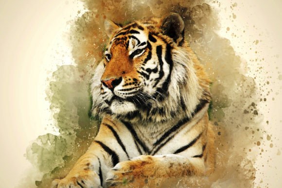 Download Printable Animal Graphics #11 - Premium Resources